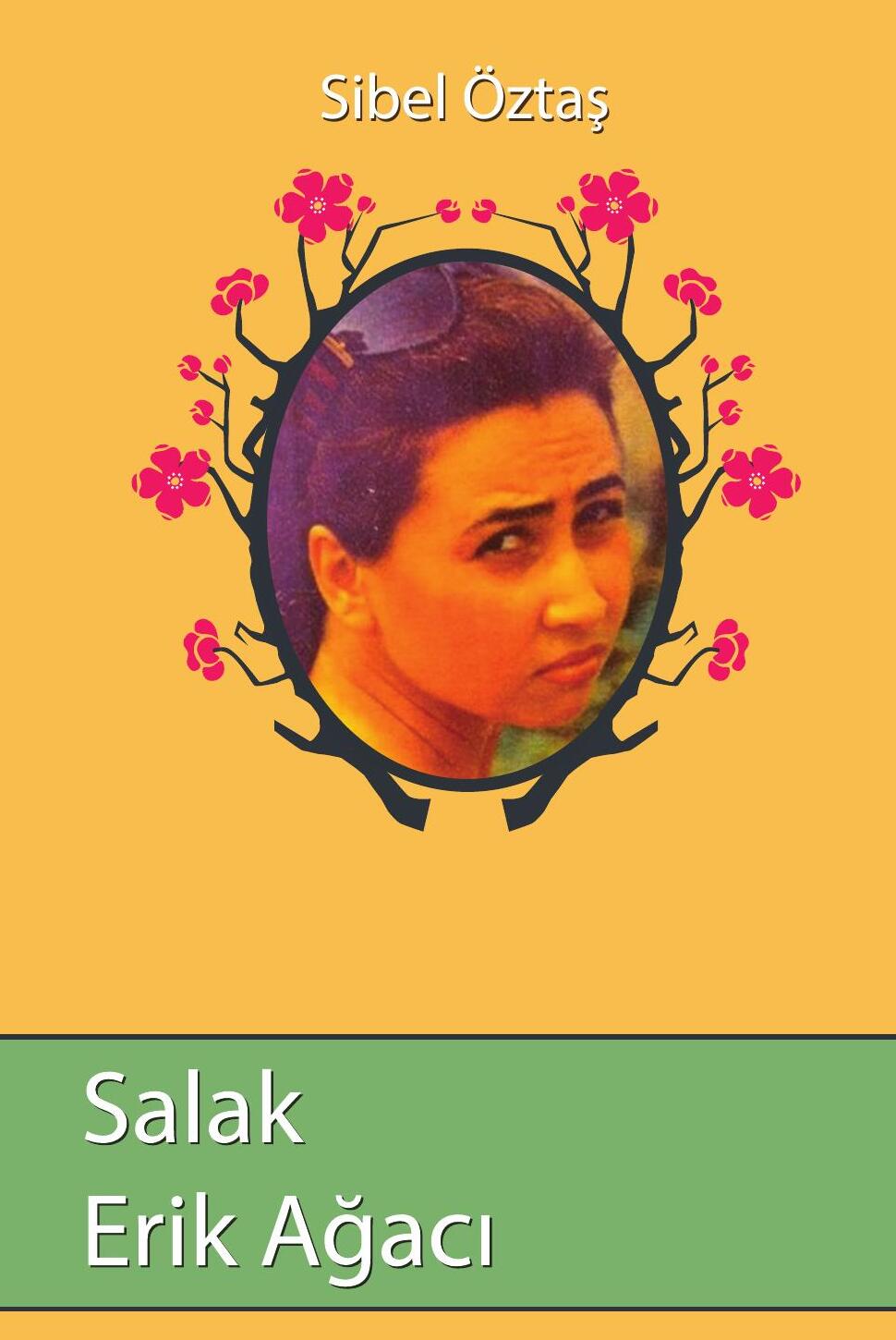 Sibel Öztaş — Kitabım
